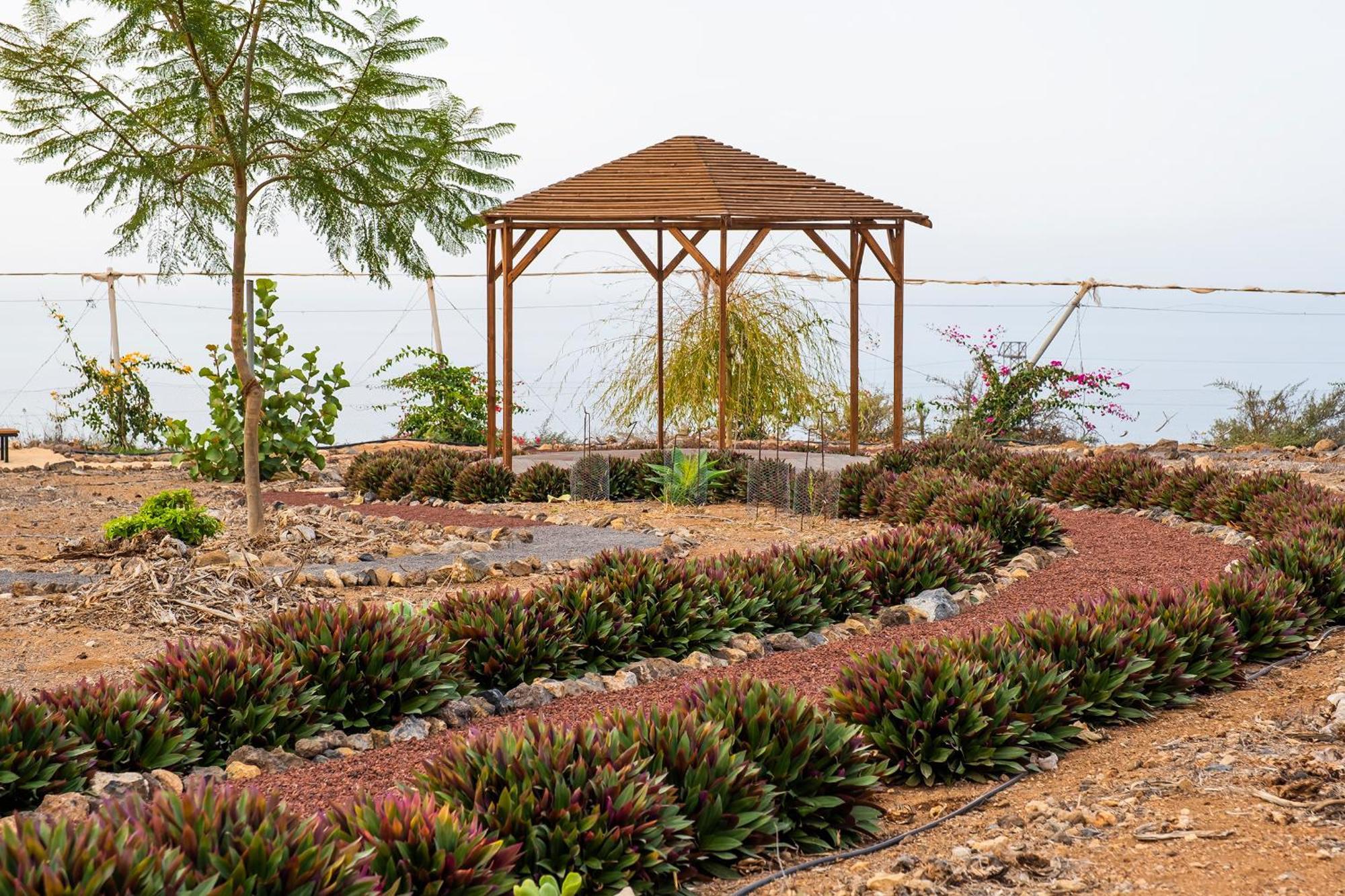 Tenerife Healing Garden Guía de Isora Extérieur photo