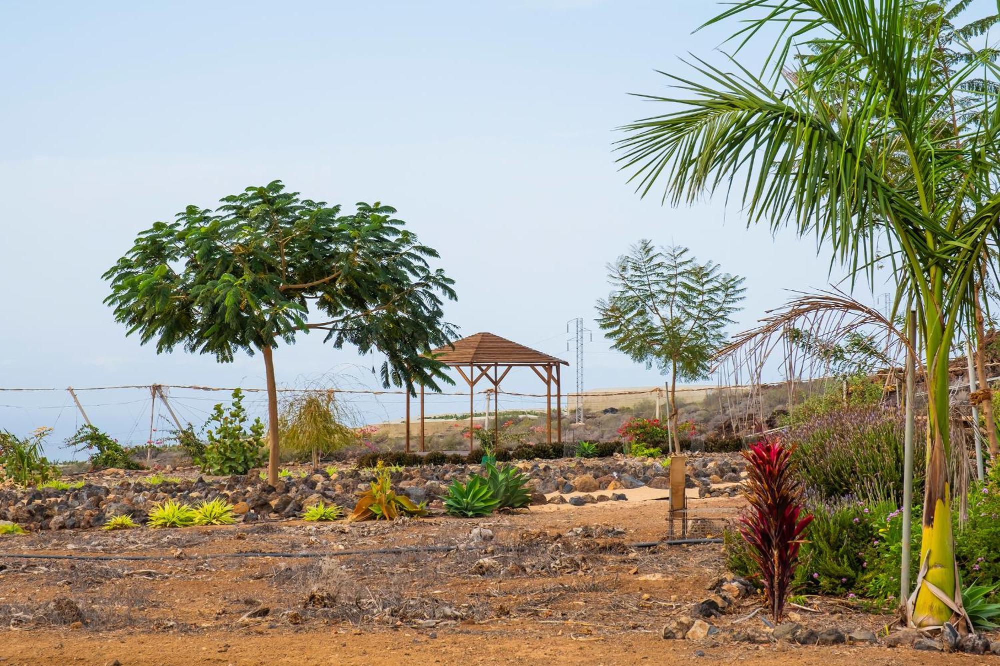 Tenerife Healing Garden Guía de Isora Extérieur photo
